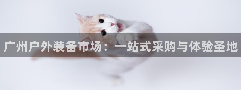 新宝g新宝gg