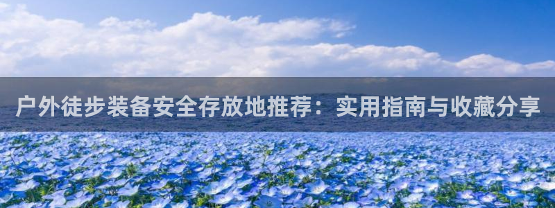 新宝gg平