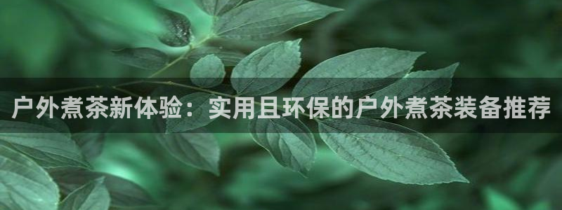新宝gg成立
