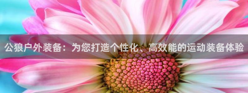 新宝gg软件