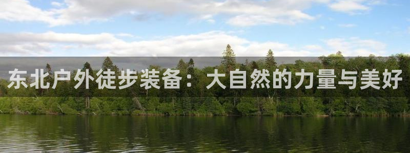 新宝gg代理