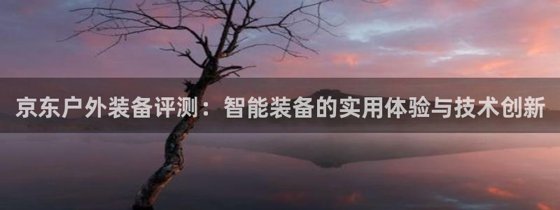 新宝 gg .com