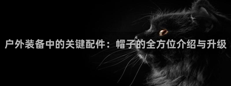 新gg官网_新宝GG创造奇迹
