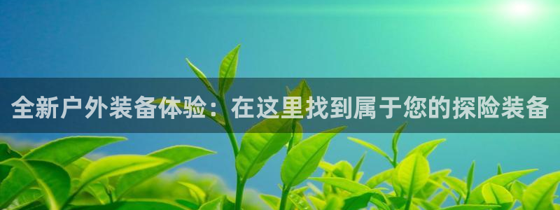 新宝gg登录地址