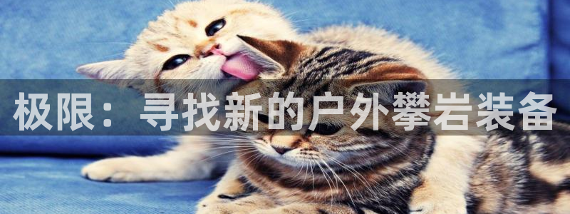 新宝gg注册jhjinde