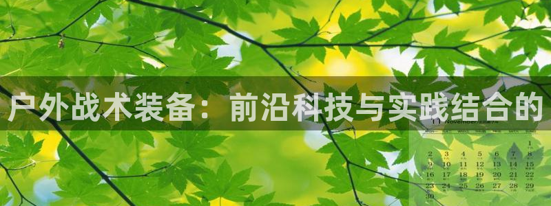 新宝gg博客