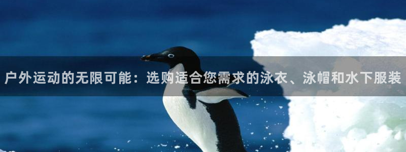 新宝gg传奇