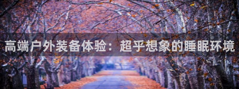 新宝GG链接