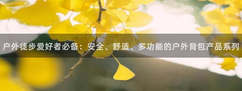 新宝创造Gg