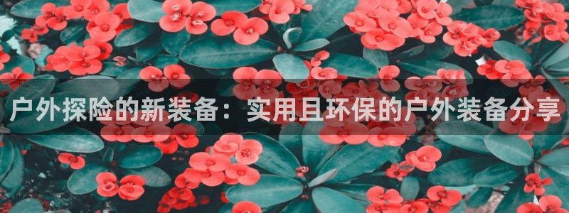 新宝-gg