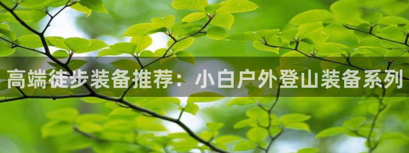 新宝gg佣金