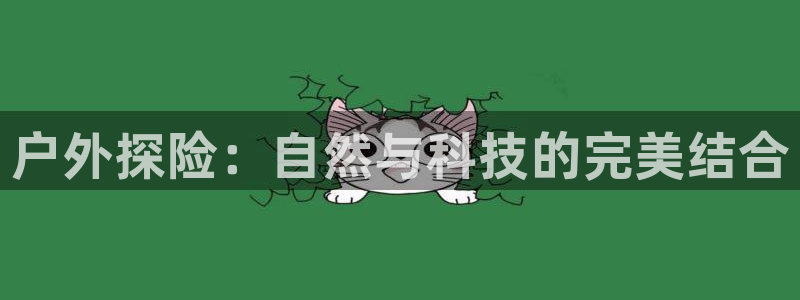 vip新宝gg