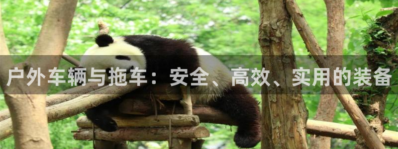 新宝gg如何做到总代理