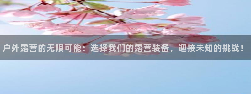 96新宝gg