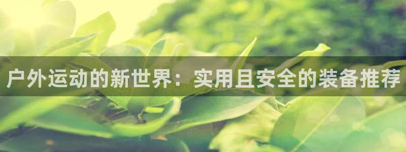 新宝GG管理