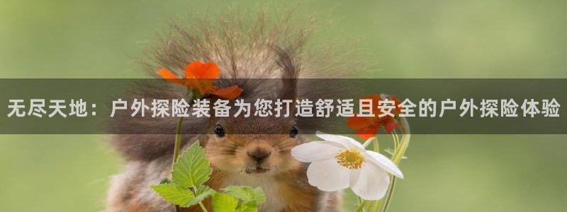网站是新宝gg