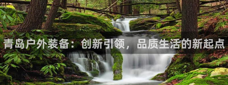 新宝gg分红