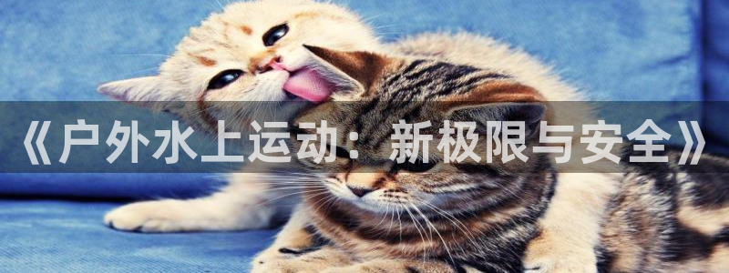 新宝gg图片