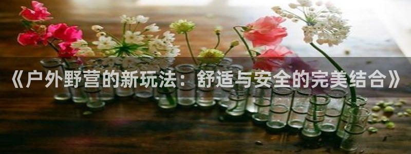 新宝哥gg