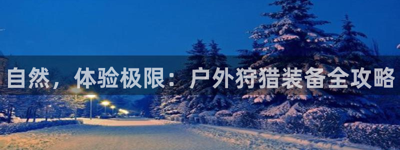 新宝gg传奇