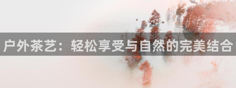 新宝gg合作