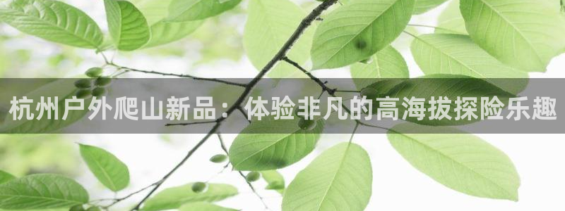新宝测速gg