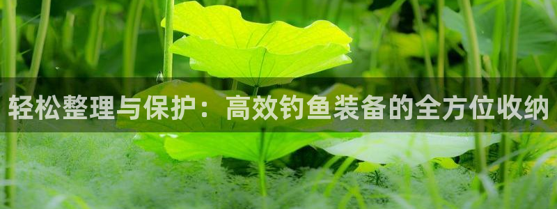 新宝gg主管、