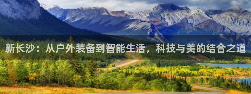 网站是新宝gg