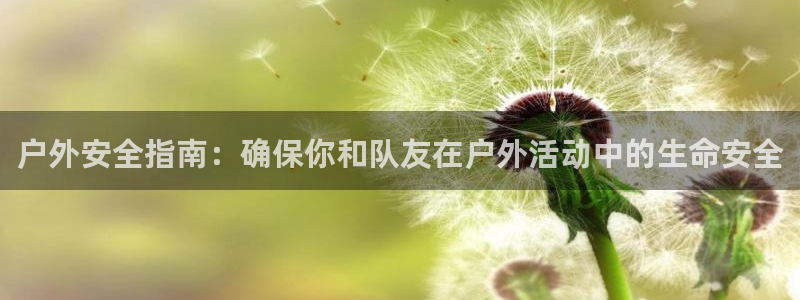 新宝gg会员