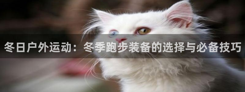 新宝gg作弊