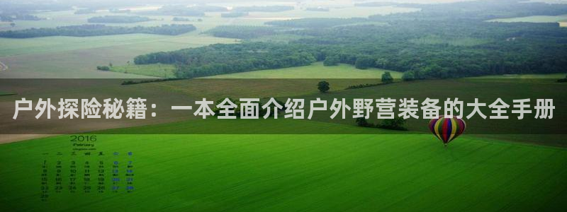 新宝gg评论
