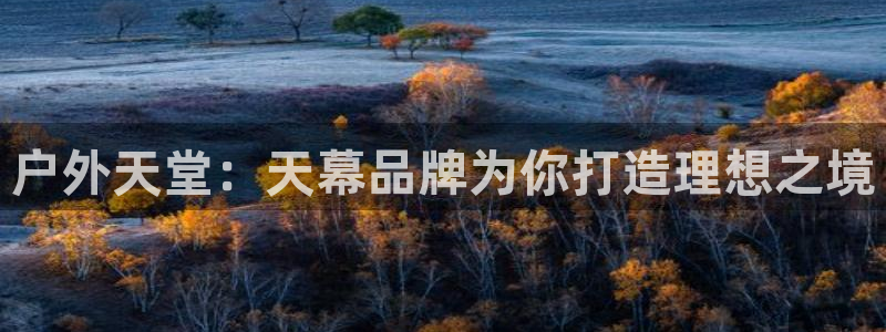 新宝gg手机官网登录