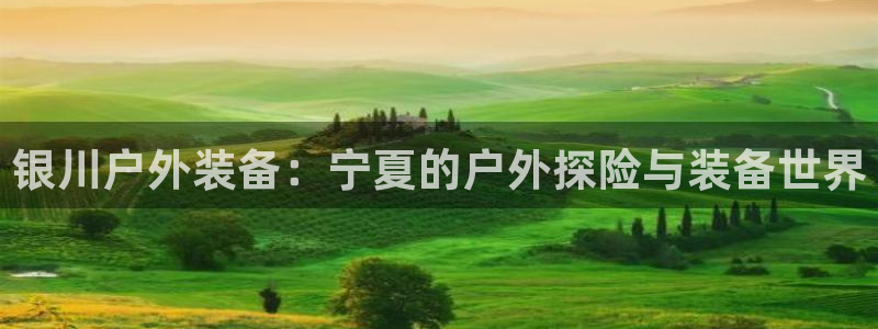 分分新宝gg