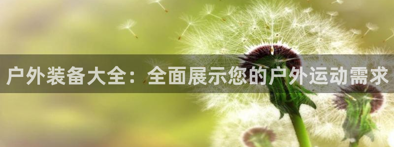 xbgg新宝gg