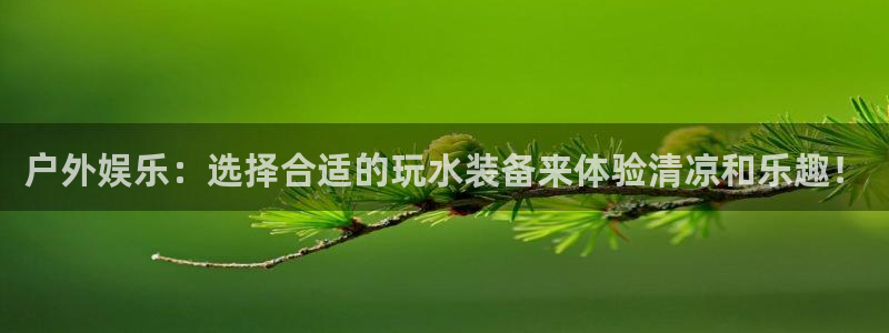 新宝gg登录平台