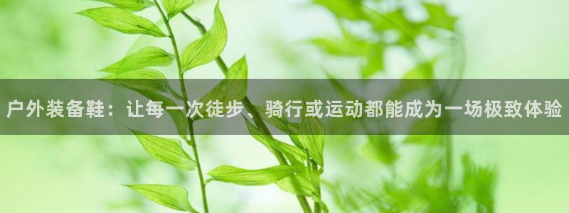 新宝gg网娱乐
