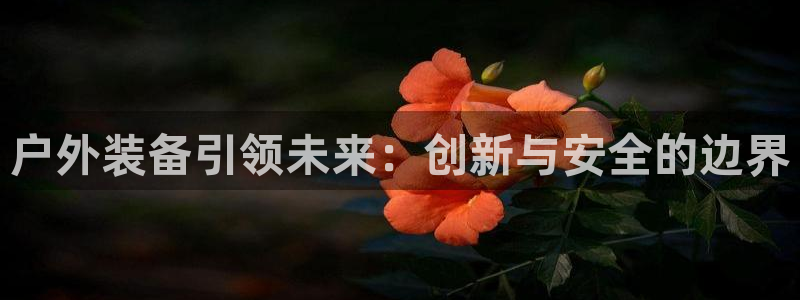 新宝GG于六七五一38