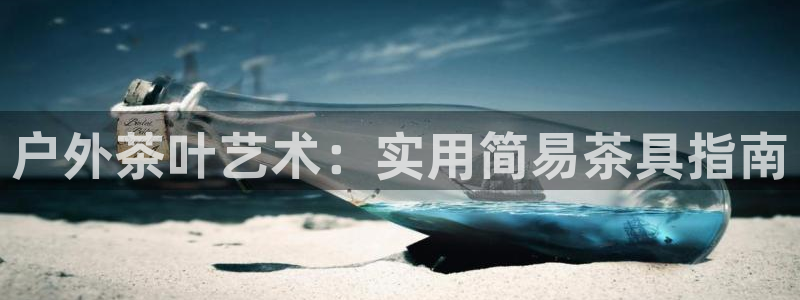 新宝gg网