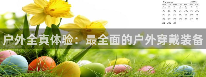 新宝gg登录注册