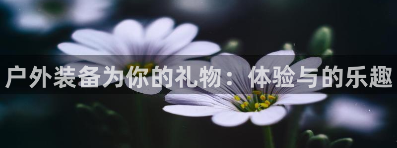 新宝gg   创造