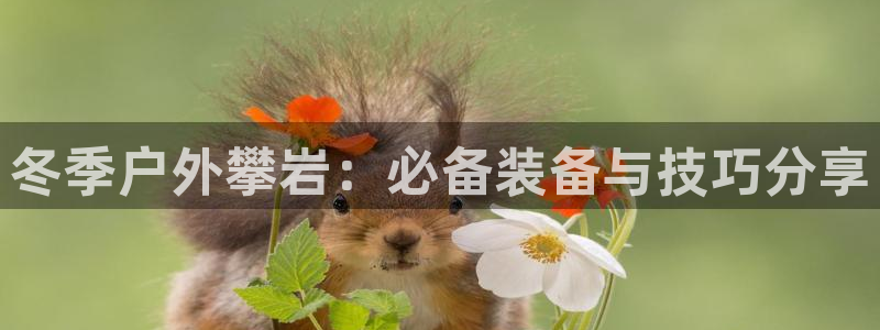 新宝gg主管都是谁