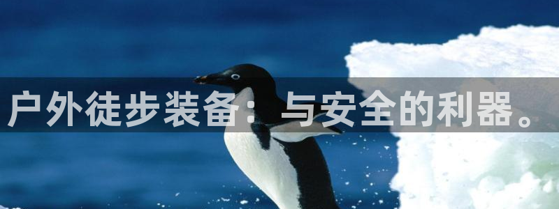 新宝gg刷流水
