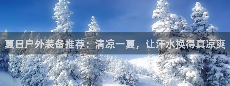 新宝gg样