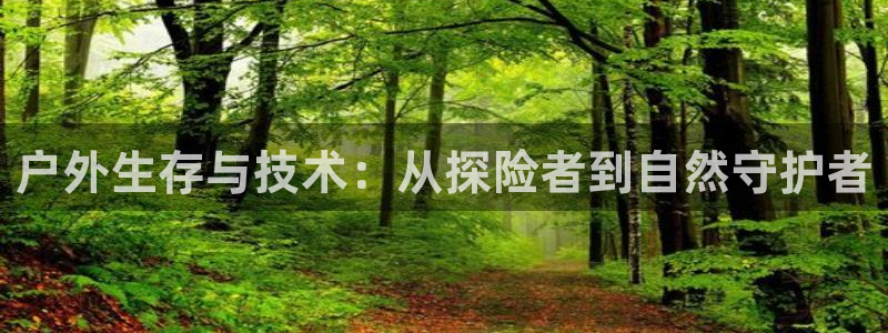 新宝gg专线