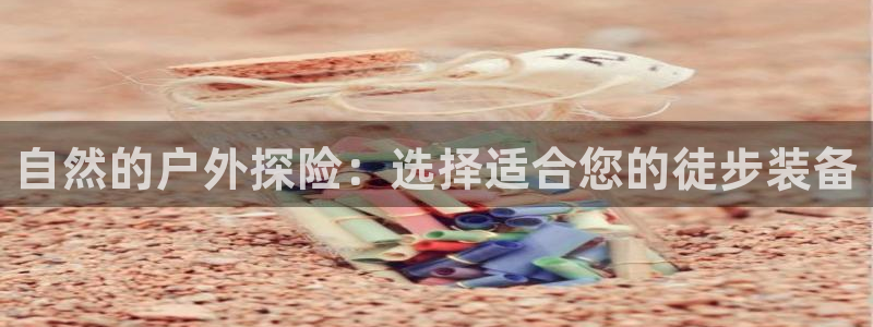 新宝娱gg