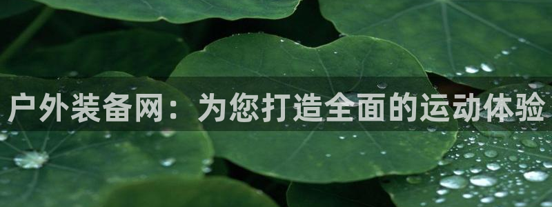 新宝gg分红
