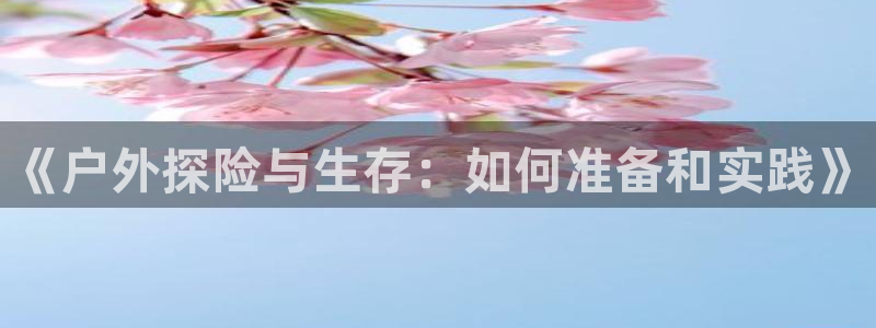新宝GG电话