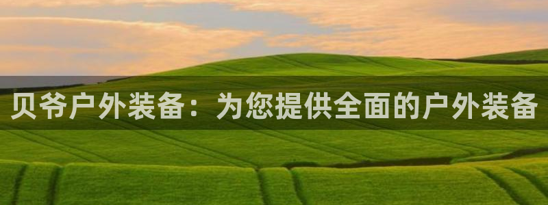 网站是新宝gg