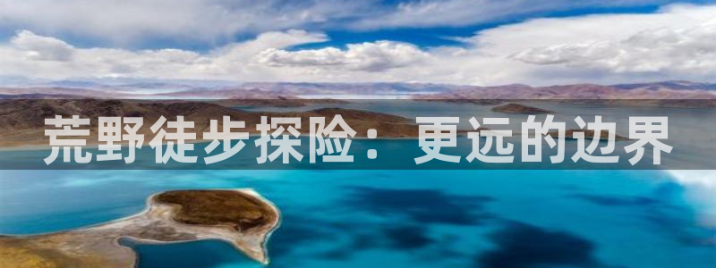 www.新宝gg