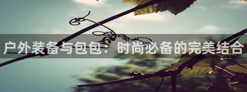 新宝gg主管48527
